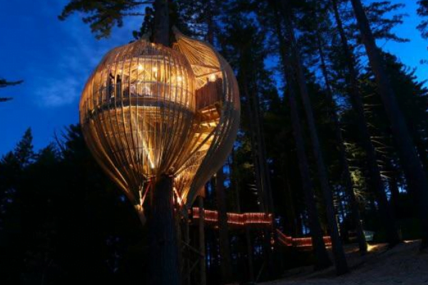 Interesting and Wonderful Tree House Models