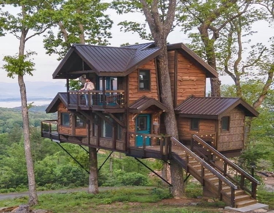 Dream Tree House Design