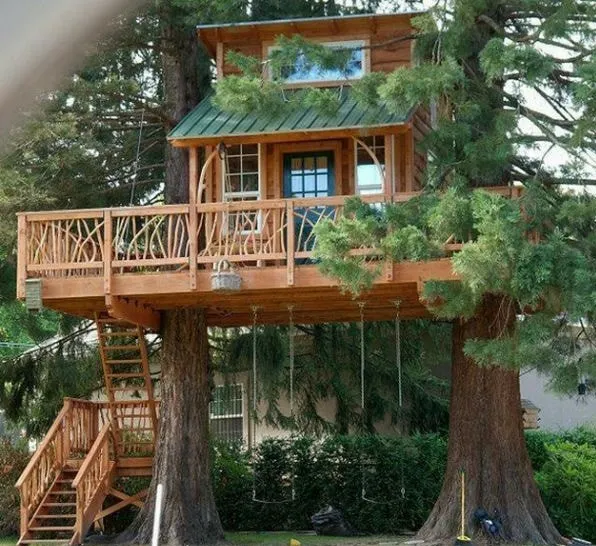 Affordable Tree House Models