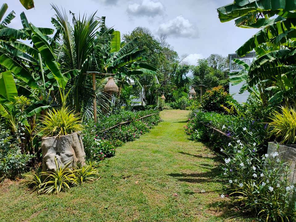 Young Farmer Built a Wonderful House in Nature For 200,000 Baht