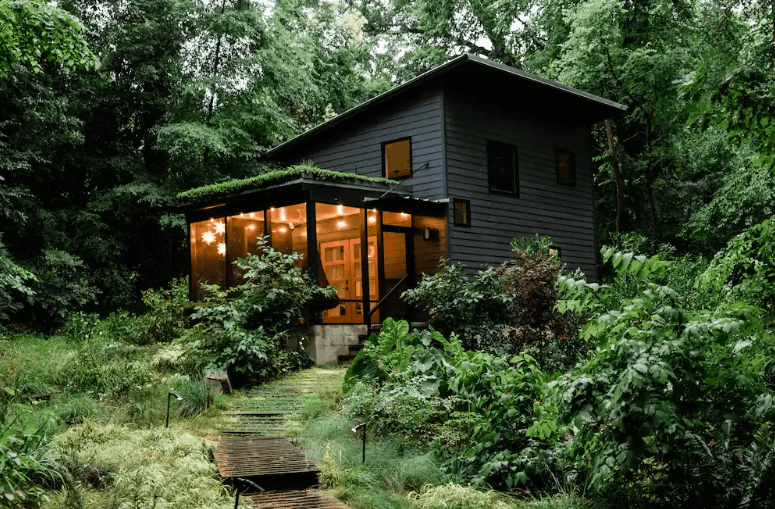 Discover the Modern Tiny House Floating Among the Trees in Durham