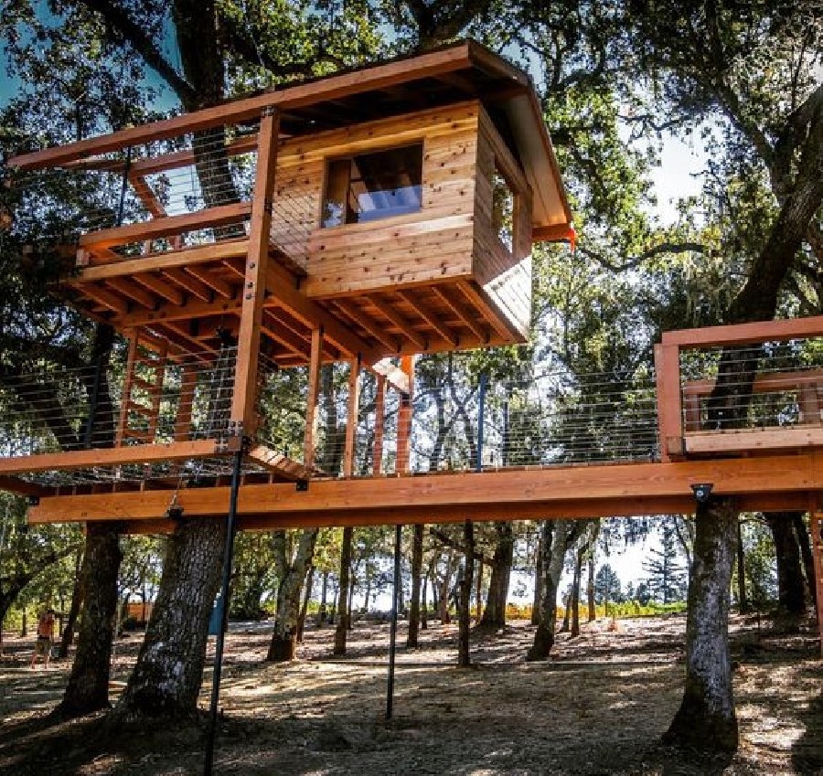 Attractive Beautiful Tree House Models